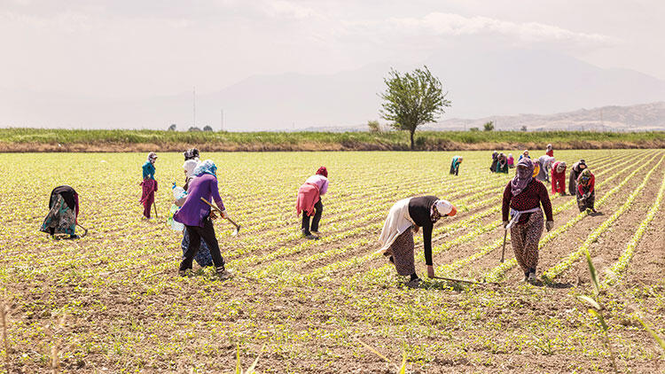 Konya'da Çiftçilere Destek Sürüyor