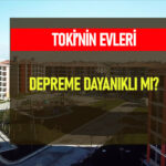 Girişimciler ve İş Kurmak için Devlet Desteği: İş Kurma Sürecinde Neler Sunuluyor?