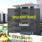 TikTok Video İndirme | TikTok’tan Video Nasıl İndirilir?